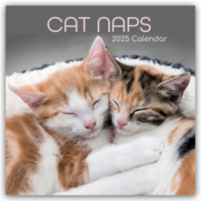 Cat Naps - Träumende Katzen 2025 - 16-Monatskalender – Gifted Stationery Co. Ltd naptár, kalendárium