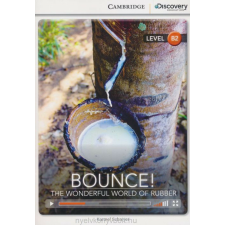 CDE:BOUNCE! -B2- nyelvkönyv, szótár