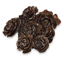  Cédrus rózsa havas 8db/csomag dekorációs kellék