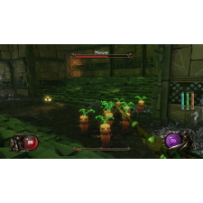 Cenega Ziggurat, Xbox One, Konzol játékszoftver videójáték