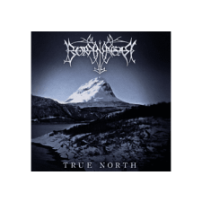 Century Media Borknagar - True North (Cd) heavy metal