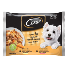 Cesar kapsičky pro dospělé psy výběr v želé 52x100 g kutyaeledel