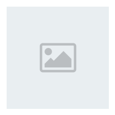 Champion OEM Specific 0W-30 MS-BFE 1 L motorolaj