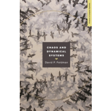  Chaos and Dynamical Systems – David Feldman idegen nyelvű könyv