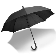 Charles Dickens Charles Dickens automata Esernyő és sétapálca #fekete esernyő