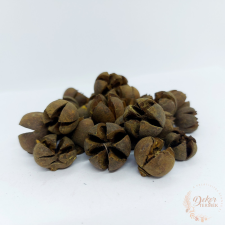  Chiruni - szárított khaki dekorációs kellék