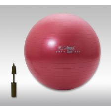 Christopeit Sport Gimnasztikai labda 65cm pumpával fitness labda