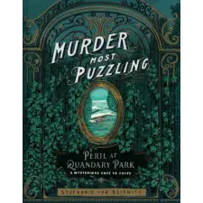Chronicle Books The Perilous Puzzles of Quandary Park | VON REISWITZ STEPHANIE egyéb könyv