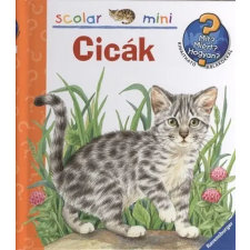  Cicák /Mit? Miért? Hogyan? - Scolar mini 7. gyermek- és ifjúsági könyv