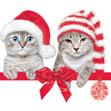Cicás Christmas Hats szalvéta 20 db-os 33x33 cm papírárú, csomagoló és tárolóeszköz