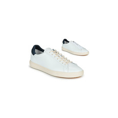 Clae Rövid szárú edzőcipők BRADLEY Fehér 39