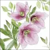  Classic helleborus papírszalvéta 33x33cm, 20db-os