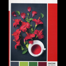 Clementoni 39494 kirakós játék (8005125394944) puzzle, kirakós