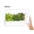 Click & Grow Click & Grow Smart Garden 9 Pro Fehér - 9db kapszulával