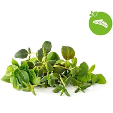 Click and Grow Olasz fűszernövények keveréke dekoráció