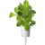 Click and Grow római saláta kapszula magokkal és szubsztrátummal 9 db (SGR50X9) (SGR50X9)