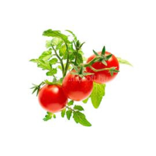 CLICKNGROW Koktélparadicsom növénykapszula 3 db (SGR5X3) vitamin és táplálékkiegészítő