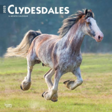 Clydesdales 2025 12 X 24 Inch Monthly Square Wall Calendar Plastic-Free naptár, kalendárium