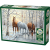 Cobble Hill 1000 db-os Puzzle - Winter Trio (40158) (0625012401586)