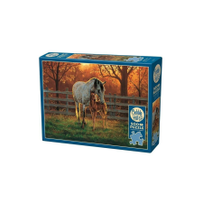 Cobble Hill 500 db-os puzzle - Quiet Time (45002) puzzle, kirakós