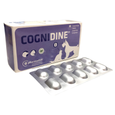  Cognidine tabletta 60db vitamin, táplálékkiegészítő kutyáknak