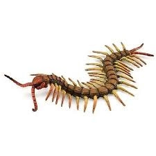 Collecta százlábú figura játékfigura