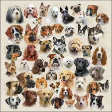 Collection of Dogs papírszalvéta 33x33cm, 20db-os papírárú, csomagoló és tárolóeszköz