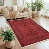  Conceptum Hypnose Carpet (50 x 80) Multicolor 310