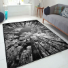  Conceptum Hypnose Carpet (80 x 120) Multicolor Els1902