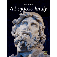 CONTENT 2 CONNECT A bujdosó király szépirodalom