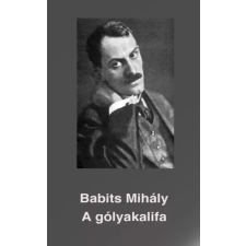 CONTENT 2 CONNECT A gólyakalifa egyéb e-könyv