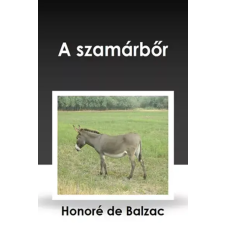 CONTENT 2 CONNECT A szamárbőr egyéb e-könyv