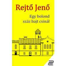 CONTENT 2 CONNECT Egy bolond száz bajt csinál regény