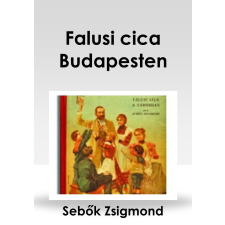 CONTENT 2 CONNECT Falusi cica Budapesten egyéb e-könyv
