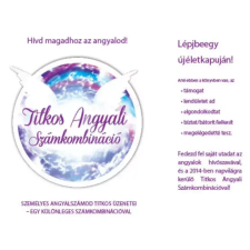 CONTENT 2 CONNECT Titkos angyali számkombináció egyéb e-könyv