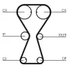 CONTINENTAL CTAM Fogasszíj CT826