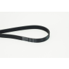 CONTINENTAL CTAM hosszbordás szíj CONTINENTAL CTAM 6PK1180
