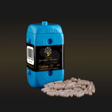 Cordyceps CS - 4 500 mg 90 db kapszula gyógyhatású készítmény