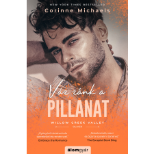 Corinne Michaels - Vár ránk a pillanat regény