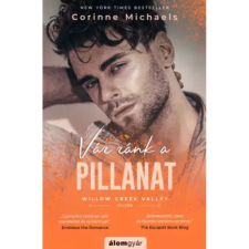  Corinne Michaels - Vár ránk a pillanat egyéb könyv