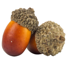 Corolla Exp-Imp. Kft Dekorációs makk 4cm dekorációs kellék