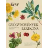 Corvina Kiadó Gyógynövények lexikona | Monique Simmonds,Melanie-Jayne Howes,Jason Irving