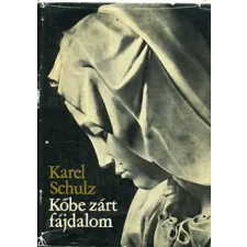Corvina Kiadó Kőbe zárt fájdalom (Michelangelo Buonarroti életregénye) antikvárium - használt könyv