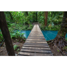  Costa Rica erdőtalaj matrica tapéta, 250 x 200 cm tapéta, díszléc és más dekoráció