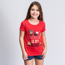 CRD Harry Potter rövid jersey pizsama - 116 gyerek hálóing, pizsama