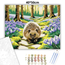 Creative Land Kft Csendes erdei séta - számfestő készlet – 40×50 cm (Keretre feszítve) kreatív és készségfejlesztő