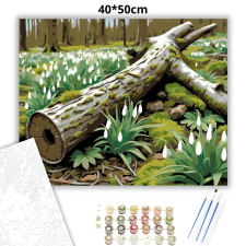 Creative Land Kft Csendes hóvirágmező - számfestő készlet – 40×50 cm (Keretre feszítve) kreatív és készségfejlesztő