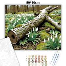 Creative Land Kft Csendes hóvirágmező - számfestő készlet – 50×60 cm (Keret nélkül) kreatív és készségfejlesztő