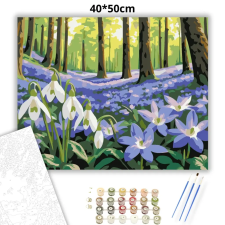 Creative Land Kft Csendes ibolyaszőnyeg - számfestő készlet kreatív és készségfejlesztő