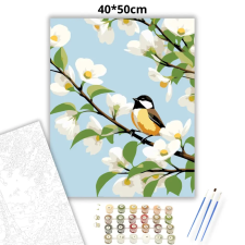 Creative Land Kft Derűs cinege pihenője - számfestő készlet – 40×50 cm (Keretre feszítve) kreatív és készségfejlesztő